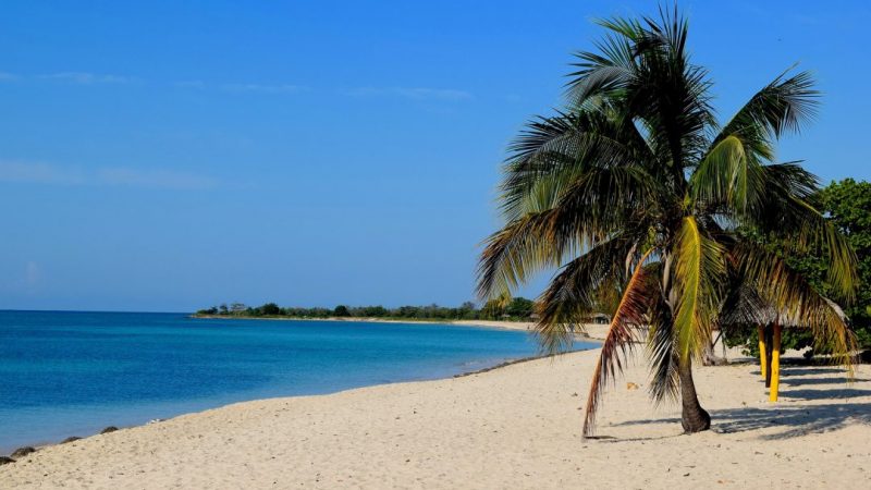 Calypso Music: The Unique Sound of Caribbean Music