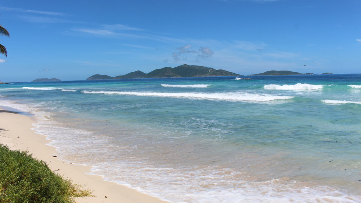 A Caribbean Music Playlist That Will Take You to the