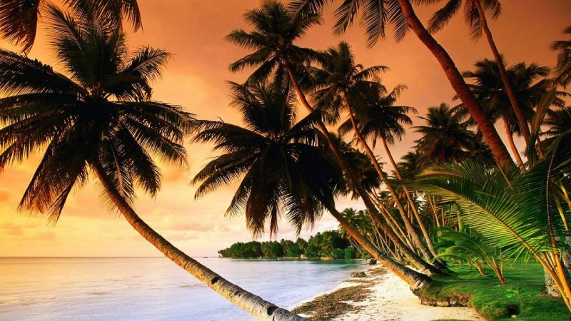 Beautiful Tropical Music & Caribbean Music & Hawaiian Music