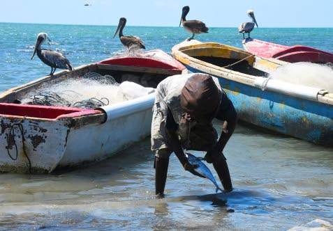 C’bean countries support UN resolution on sustainable fisheries