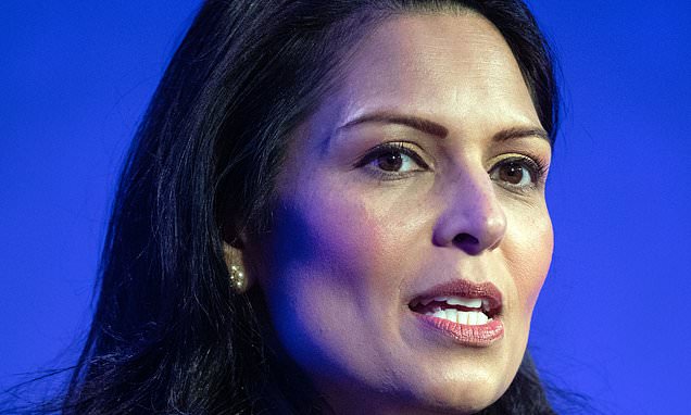 Priti Patel pledges 'regular drumbeat' of deportation flights