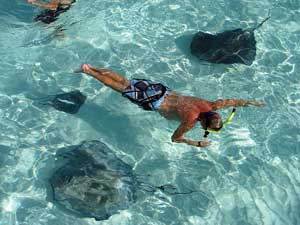 Caribbean Shore Tours the Shore Excursions Guide in the Caribbean