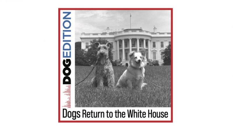 InDOGural Episode of New Dog Edition Podcast Focuses on Dogs