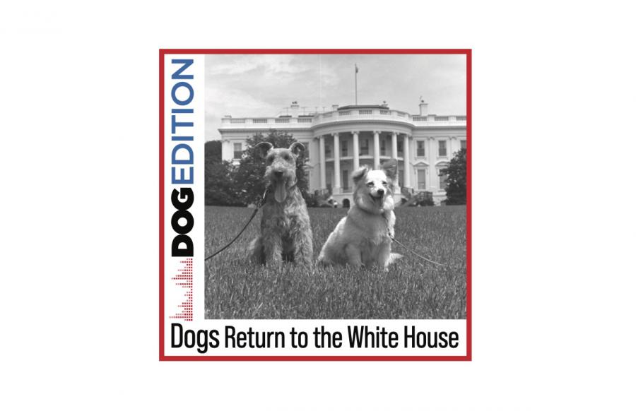 InDOGural Episode of New Dog Edition Podcast Focuses on Dogs