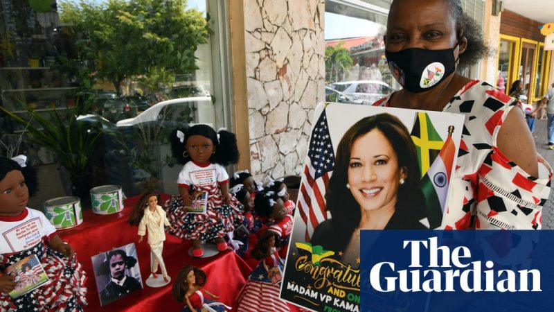 ‘Immense sense of pride’: Caribbean diaspora celebrates Kamala Harris