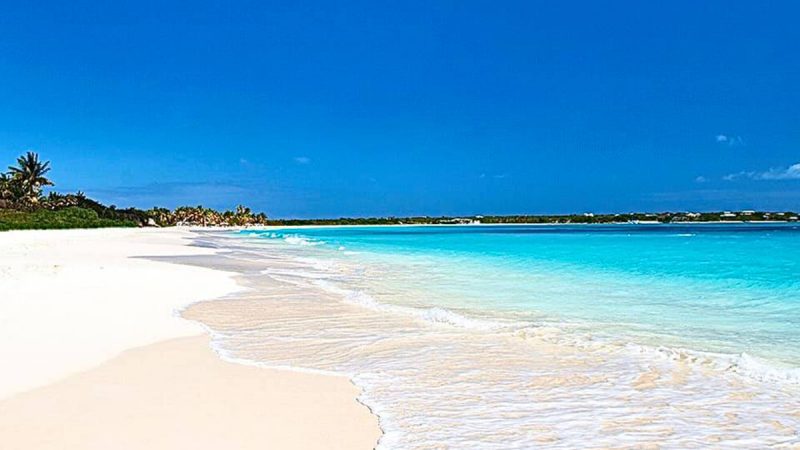 Caribbean Hotel and Tourism Association CEO Steps Down