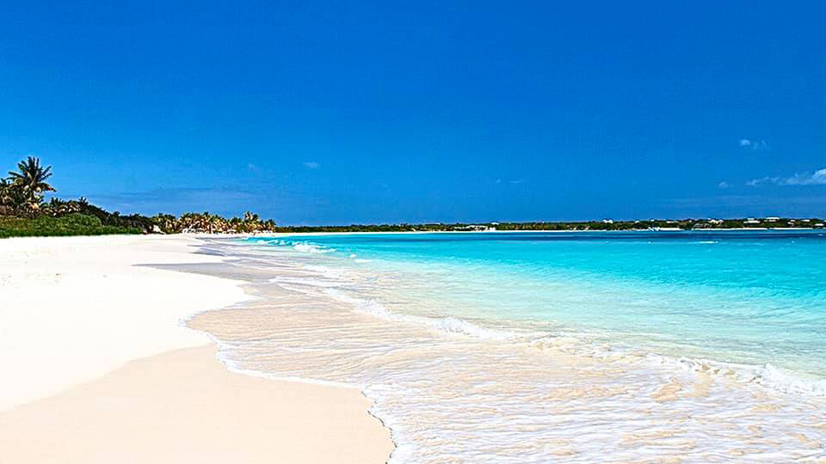 Caribbean Hotel and Tourism Association CEO Steps Down