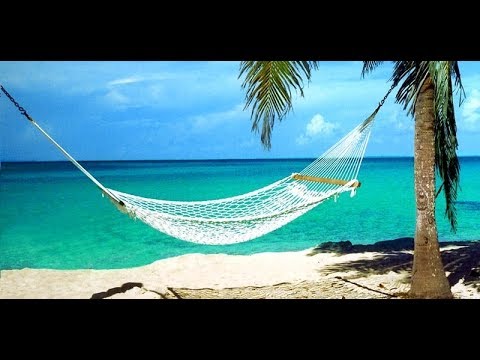 THE FUTURE OF JAMAICA AND CARIBBEAN TOURISM