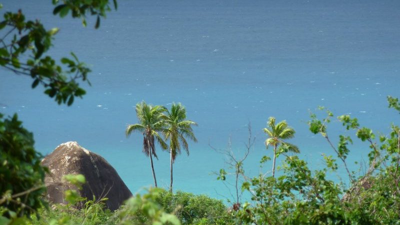 Travellers’ guide to Caribbean