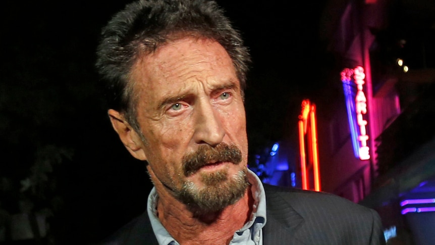 McAfee creator charged over $16