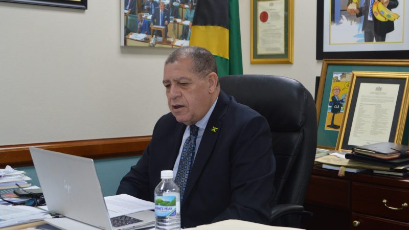 Newly Formed Council Urged To Drive Quality In Jamaica