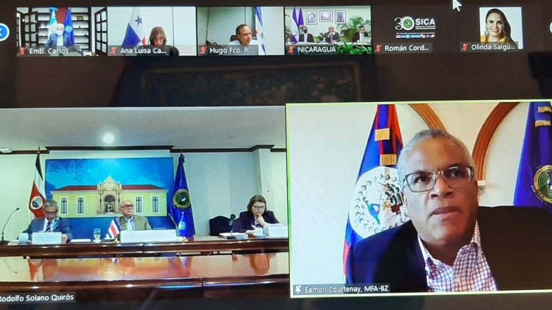 Minister of Foreign Affairs attends LXXXIII Meeting of the Council