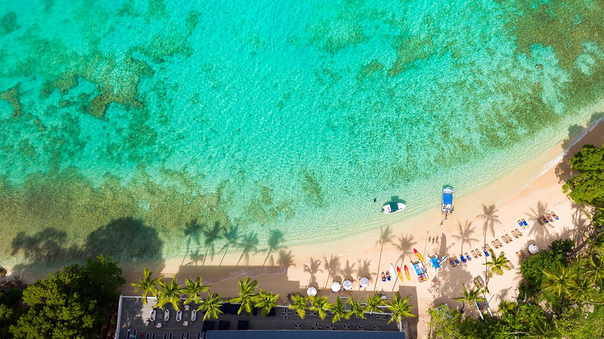 Barbados Tourism Names New Chairman Caribbean Journal