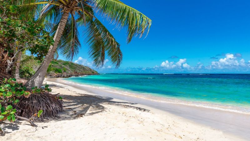 The Caribbean on a budget: How to take a post-vaccine