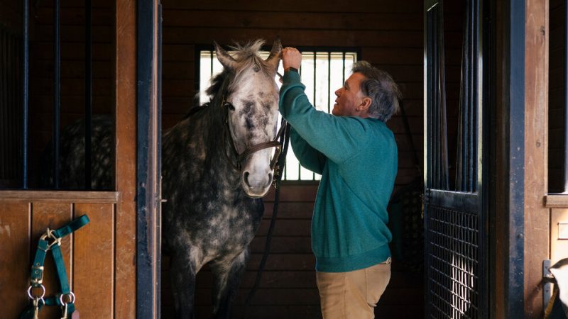 A Virus Races Through the Horse World