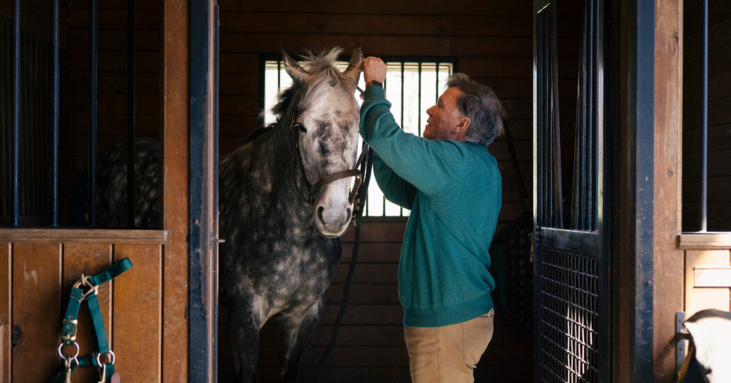 A Virus Races Through the Horse World