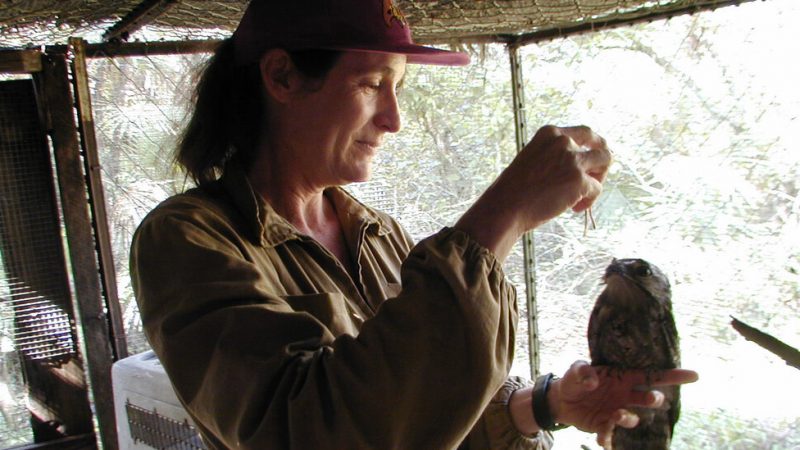 Sharon Matola, Who Opened a Zoo in the Jungle of