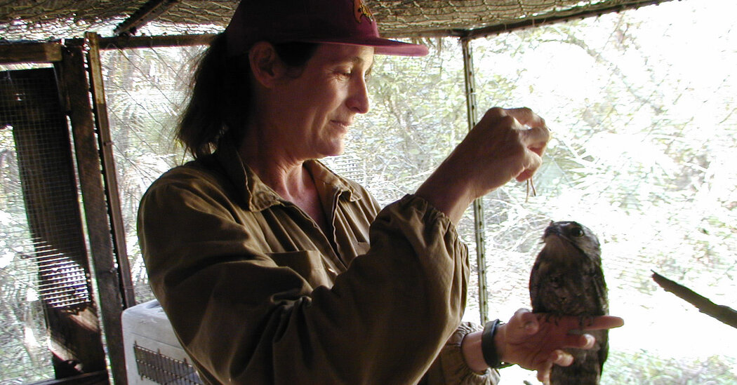 Sharon Matola, Who Opened a Zoo in the Jungle of