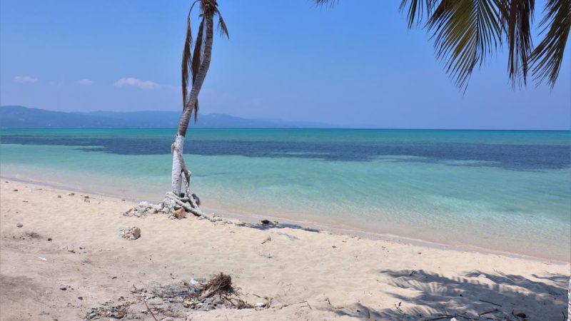 Caribbean gov’ts face dilemma over vaccinated visitors