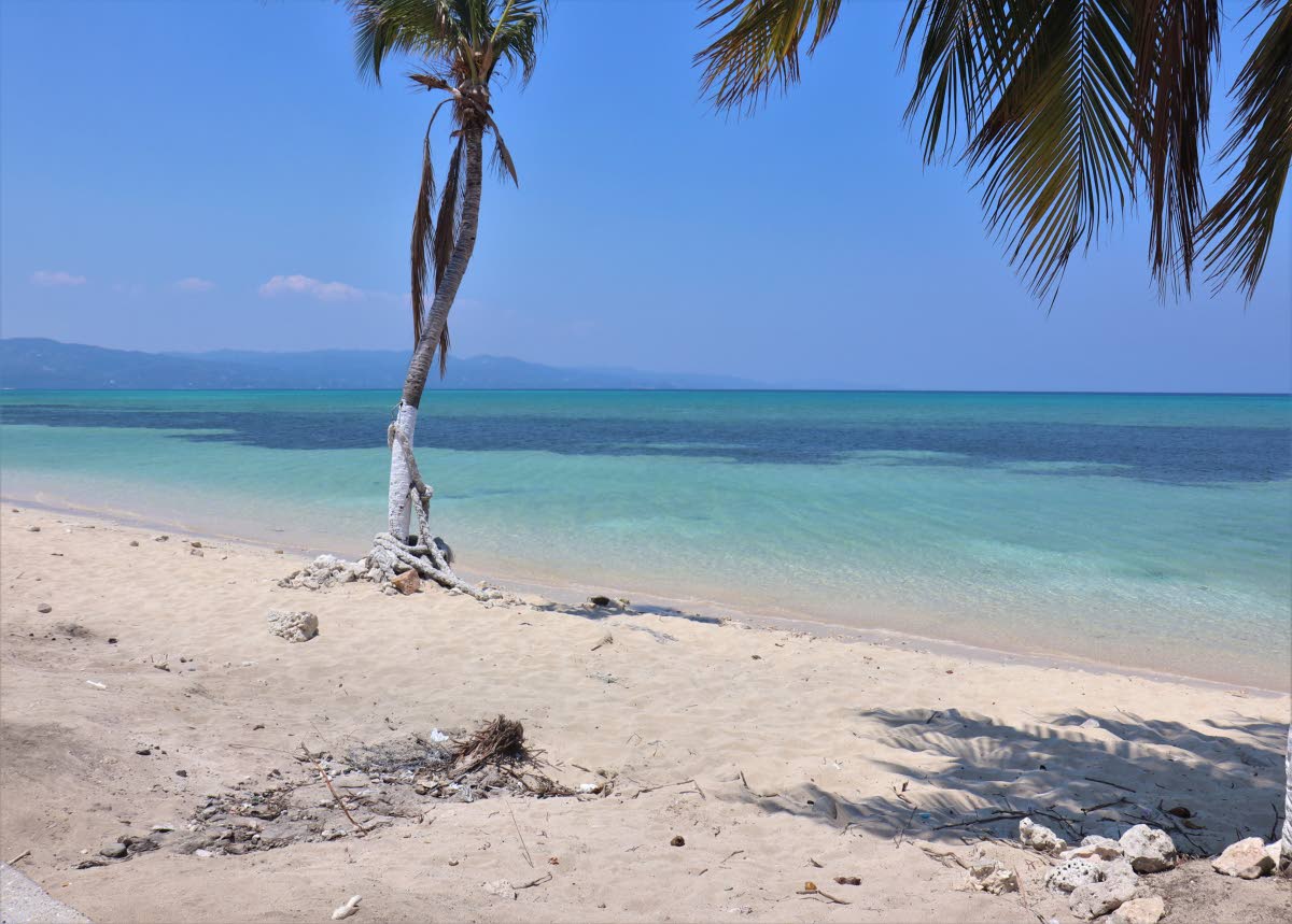 Caribbean gov’ts face dilemma over vaccinated visitors