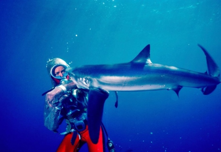 Top Online And IRL Happenings This Week In SoCal: April