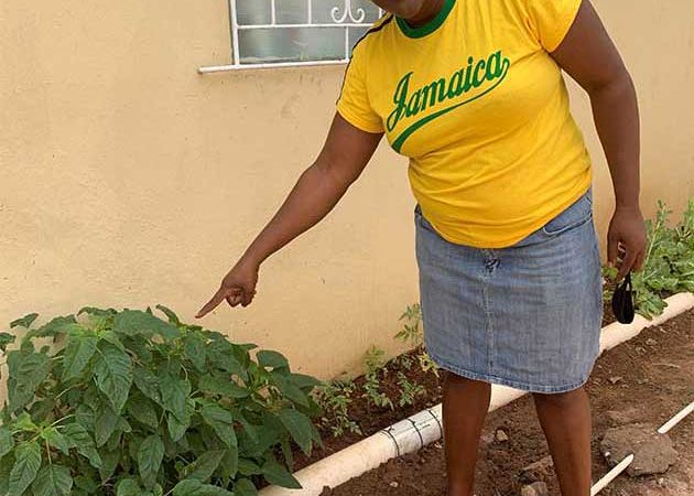 Pandemic Accentuates Need for Caribbean Countries to Improve Food and