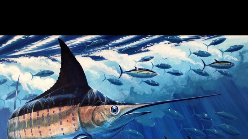 See The Wonders of Our Oceans Through the Eyes of