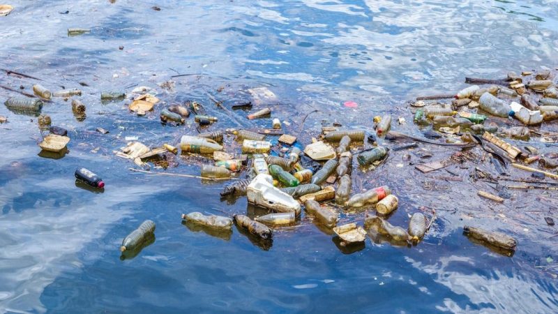 Twelve Caribbean Countries Have Since Banned Single-use Plastics
