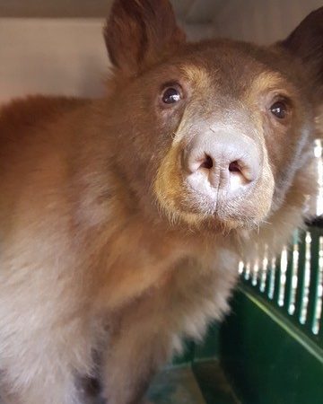 Lawmakers and Advocacy Groups Condemn Oregon Dept