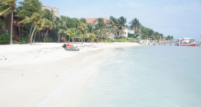 Daughter-in-Law of Lord Ashcroft Charged With Manslaughter in Belize Over