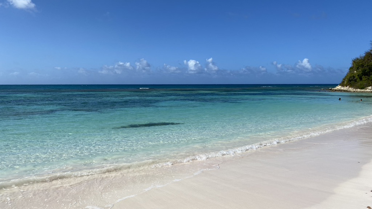 Caribbean Tourism Organization Launches Risk-Management Program
