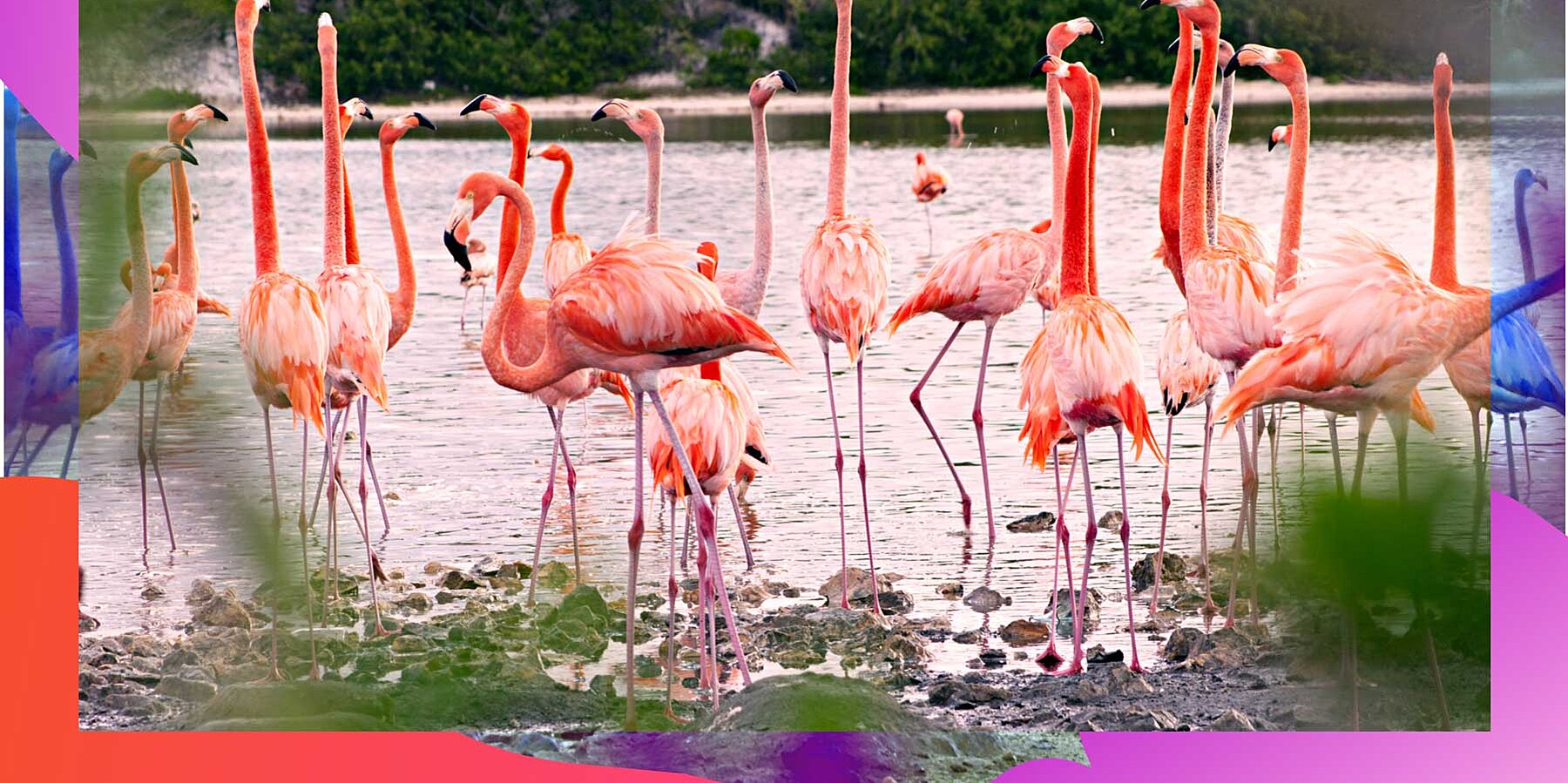 An Island-by-island Guide to Traveling to the Caribbean Amid COVID-19