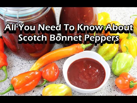 The Scotch Bonnet Pepper Files | CaribbeanPot.com