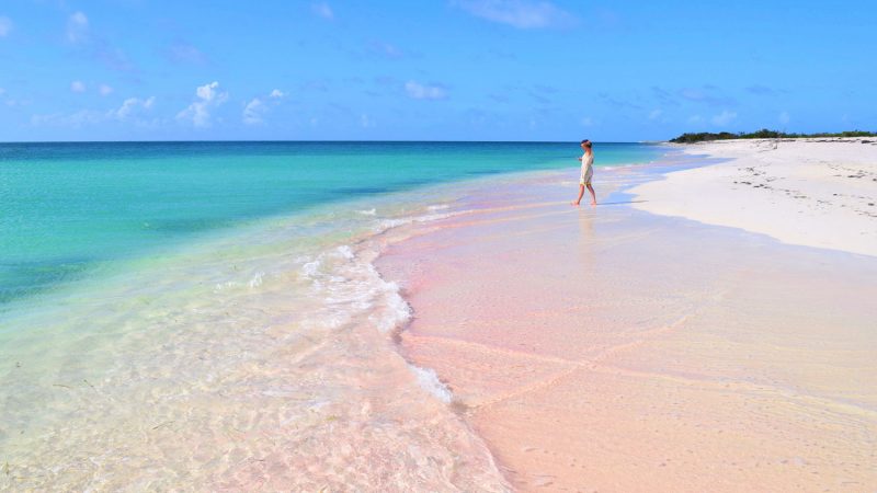Barbuda rising | Destination
