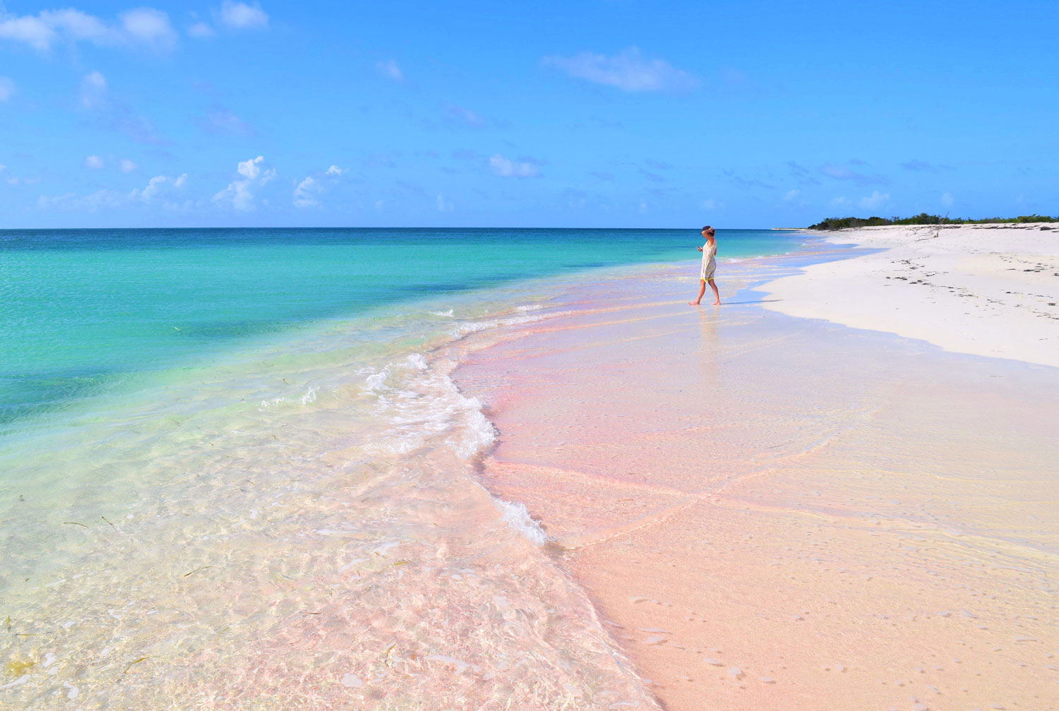 Barbuda rising | Destination