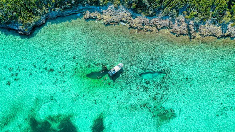 The 18 Best Snorkeling Spots In The Bahamas