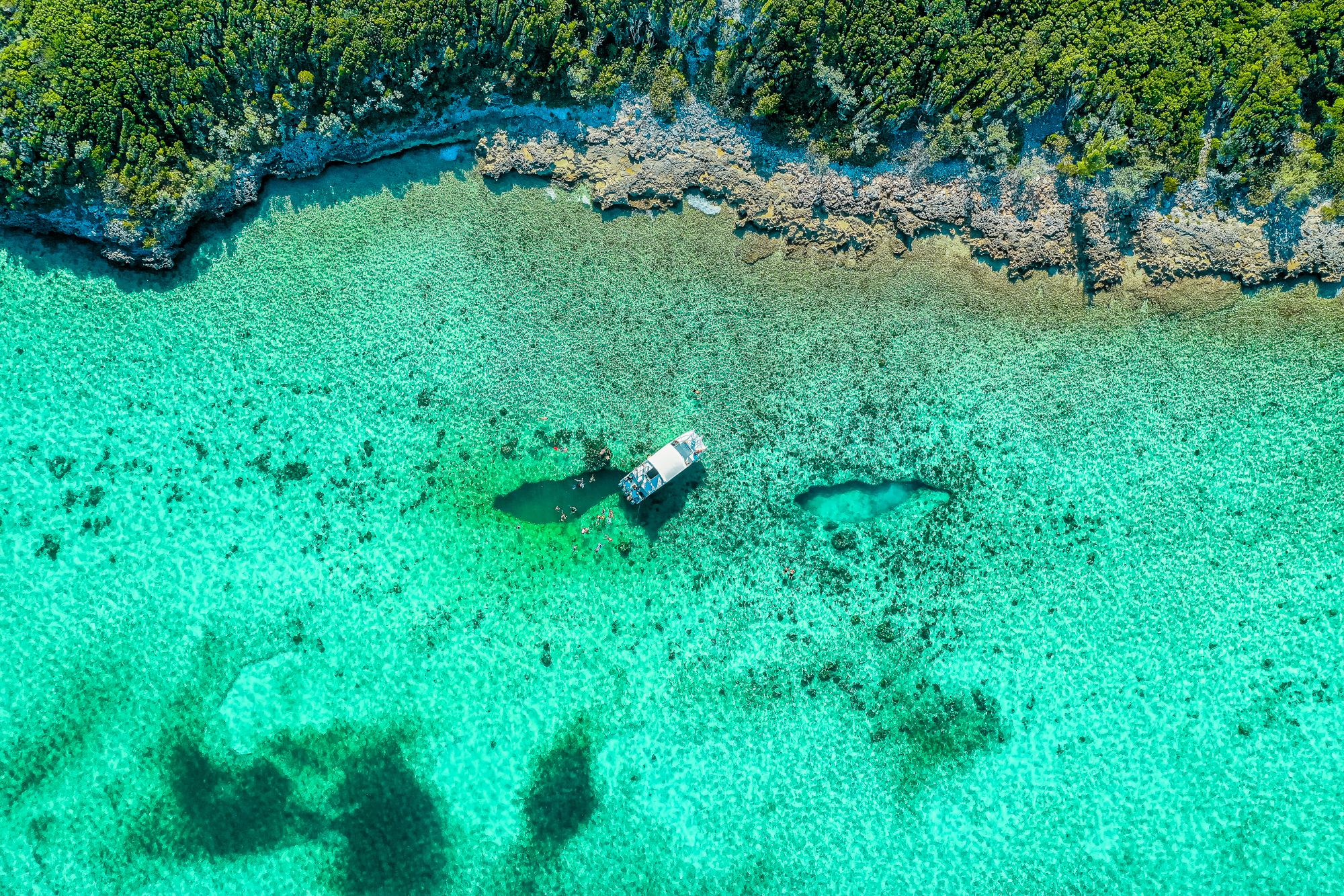 The 18 Best Snorkeling Spots In The Bahamas