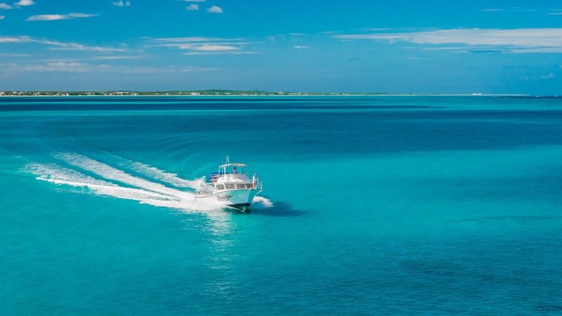 From Reef Dives to Soccer Goals: The Ocean Connects Everything