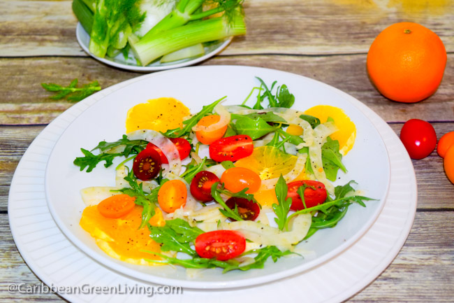 Easy Fennel Salad with Oranges, Tomatoes and Arugula