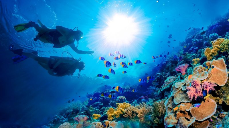 Become A PADI® Certified Scuba Diver At Sandals Resorts