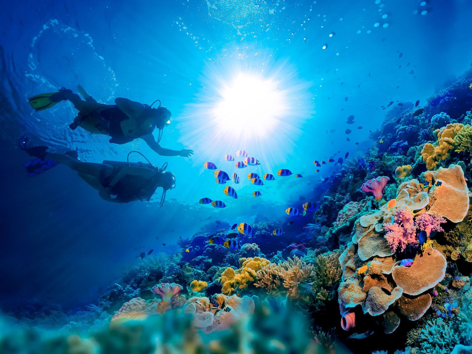 Become A PADI® Certified Scuba Diver At Sandals Resorts