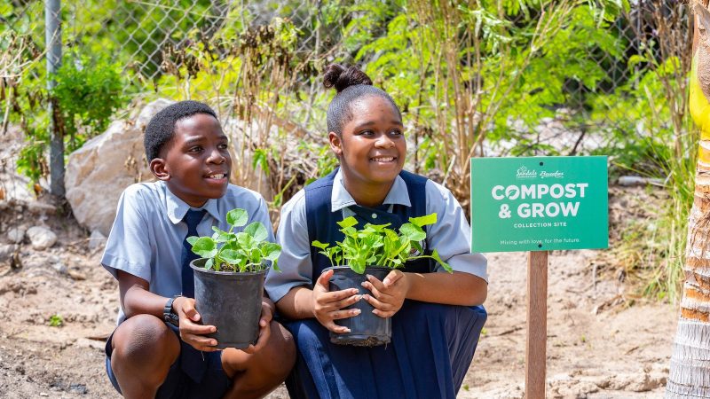 From Farm to Fork: Sandals is Energizing a Forever Food