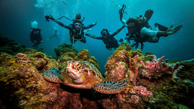 Top 5 Best Sandals® Resorts For Scuba Diving [2022]