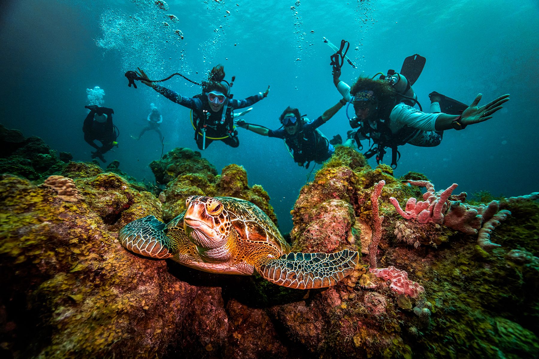 Top 5 Best Sandals® Resorts For Scuba Diving [2022]