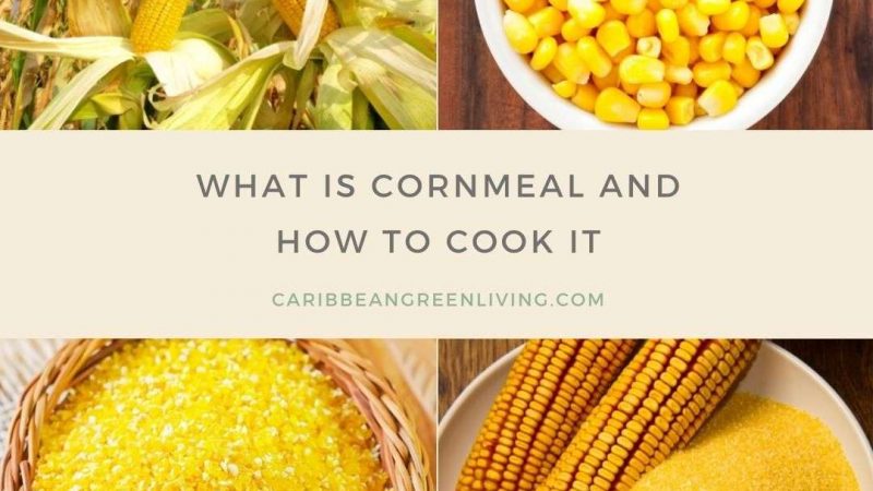 What is Cornmeal and how to cook it