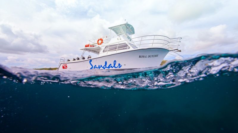 Meet The Dive King of the Caribbean