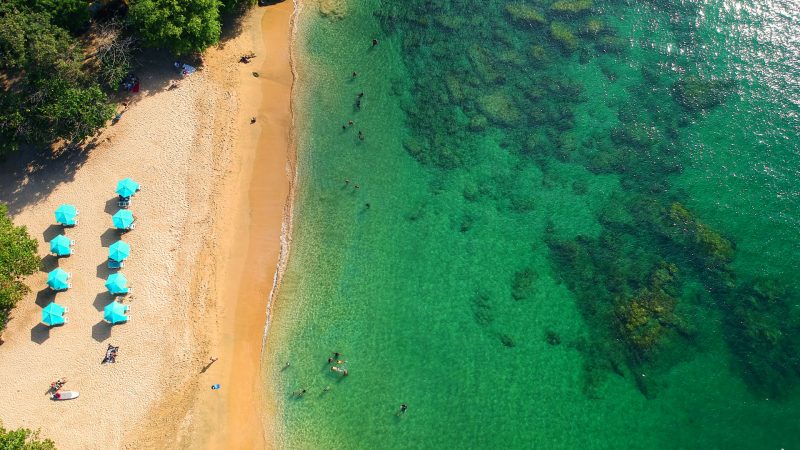 Two paths, one Tobago