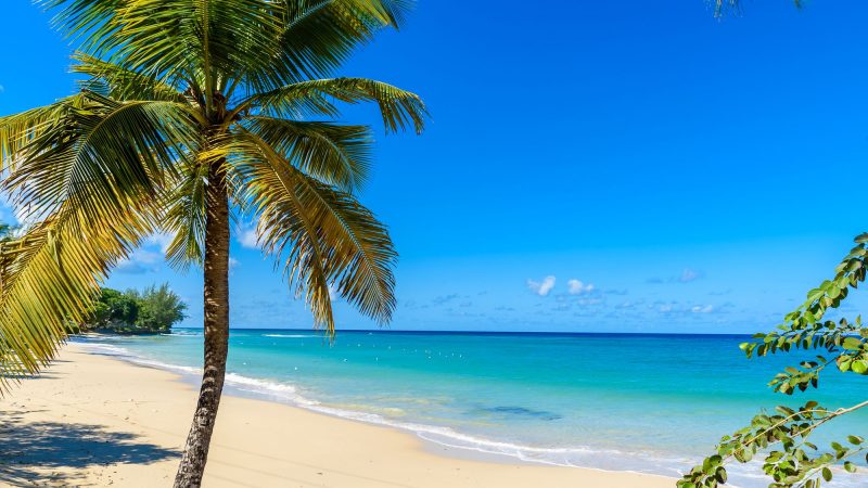 Why You’ll Love Mullins Beach, Barbados