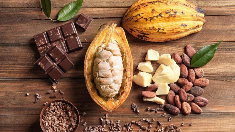 Little cups of cocoa from Trinidad