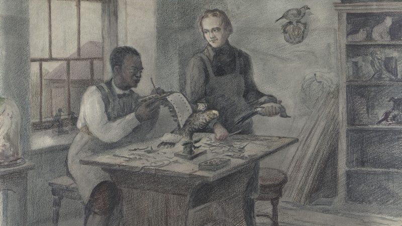 John Edmonstone: from Guyana to the Galapagos